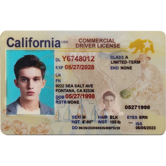Fake California CDL