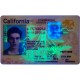 Fake California CDL