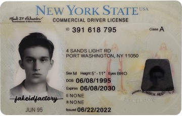 Fake New York CDL