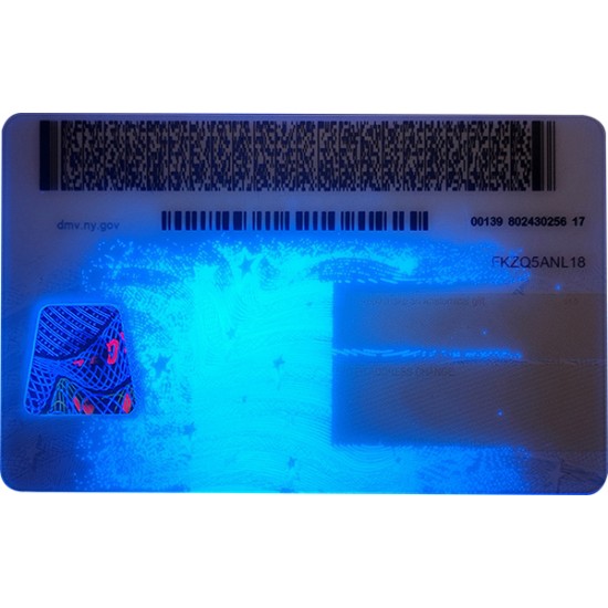 Fake New York CDL