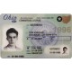 Fake Ohio CDL