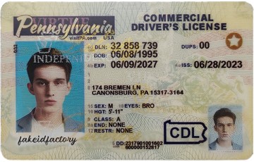 Fake Pennsylvania CDL