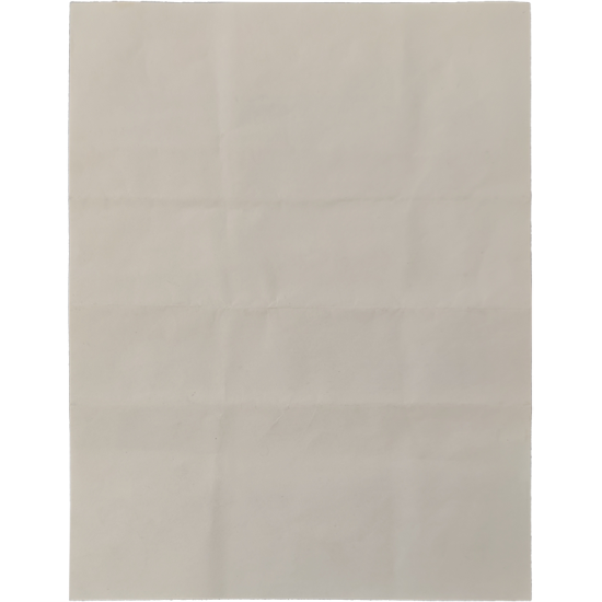 US IOWA Birth Certificate