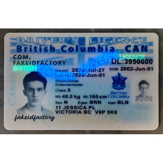 British Columbia ca fake id,fake id ca