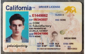 California Scannable ID