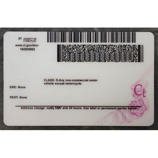 Connecticut drivers license,DL