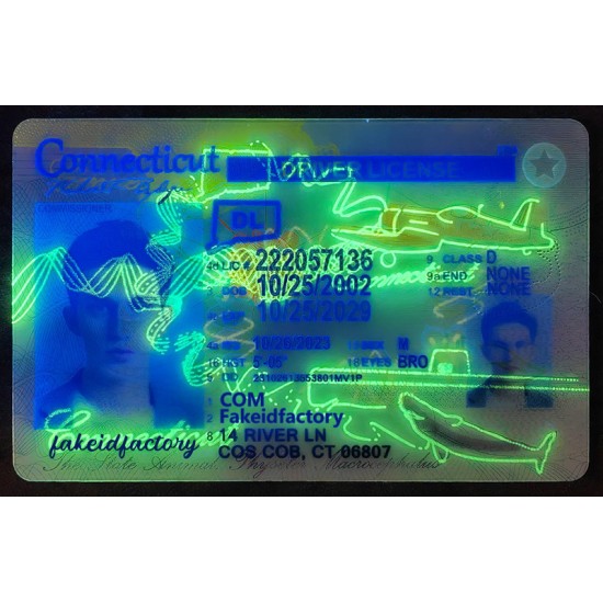 Connecticut drivers license,DL
