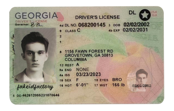 Georgia Fake ID (2025 version)