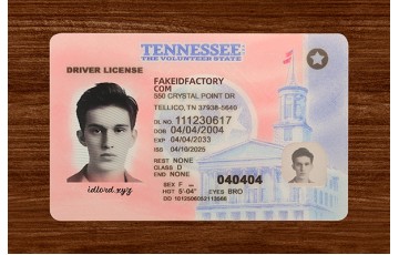 TENNESSEE FAKE ID (2025 Version)