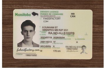 MANITOBA FAKE ID (2026 Version)