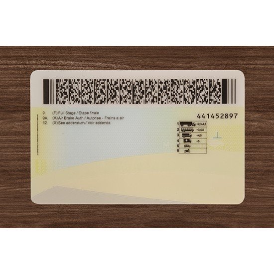 MANITOBA FAKE ID (2026 Version)