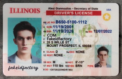 Illinois Fake License