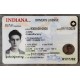 indiana id,indiana id card