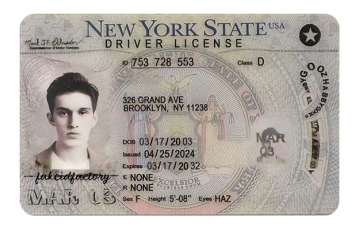 New York Fake ID (2025 Version)