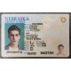 fake nebraska id,fake ids for sale