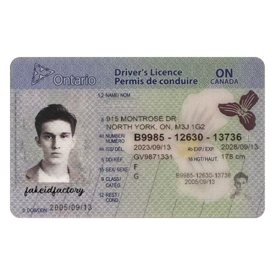 fake ontario id card,Best fake scannable ids