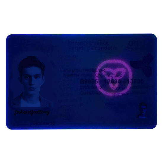 fake ontario id card,Best fake scannable ids