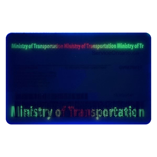 fake ontario id card,Best fake scannable ids