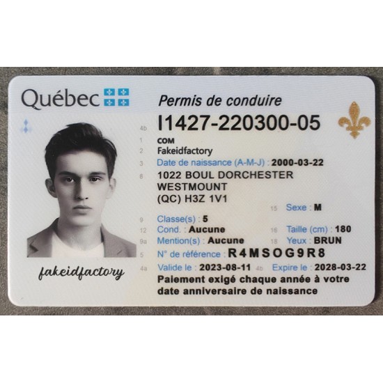 quebec id,fake real id