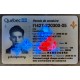 quebec id,fake real id