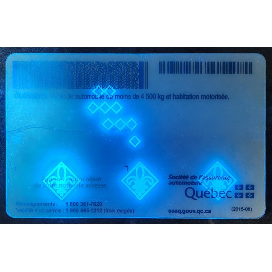 quebec id,fake real id
