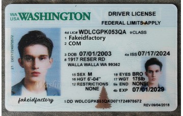 Washington Fake ID