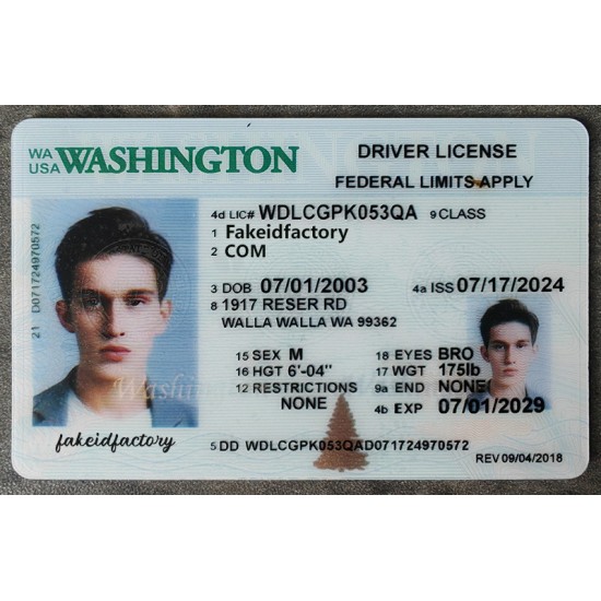 washington fake ids,driver's license