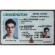 washington fake ids,driver's license