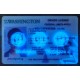 washington fake ids,driver's license